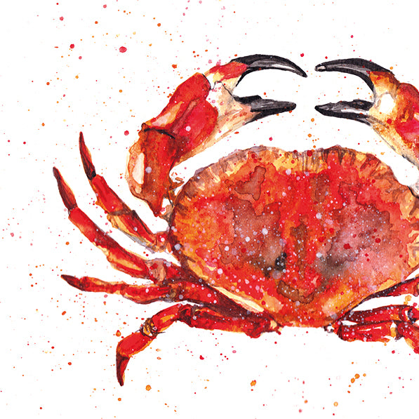 Signed Crab Watercolour A4 Print & Mount