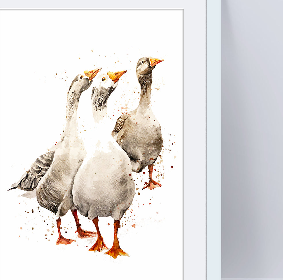 Signed Geese Watercolour A4 Print & Mount
