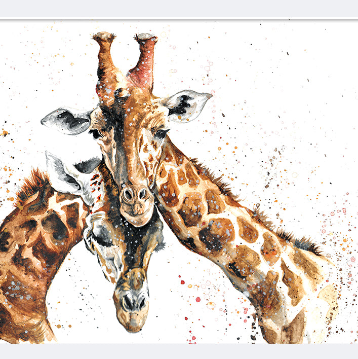 Signed Giraffe Pair Watercolour A4 Print & Mount