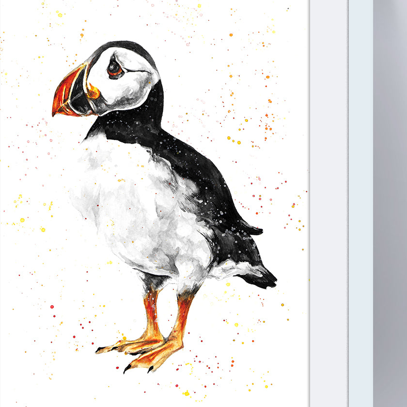 Signed Puffin Watercolour A4 Print & Mount