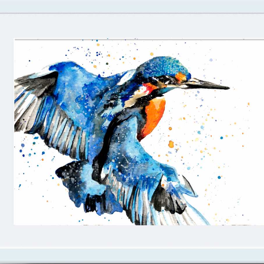 Signed Kingfisher Watercolour A4 Print & Mount