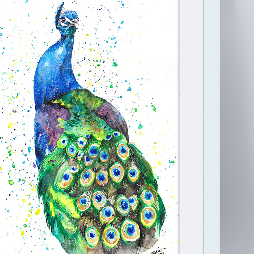 Signed Peacock Watercolour A4 Print & Mount
