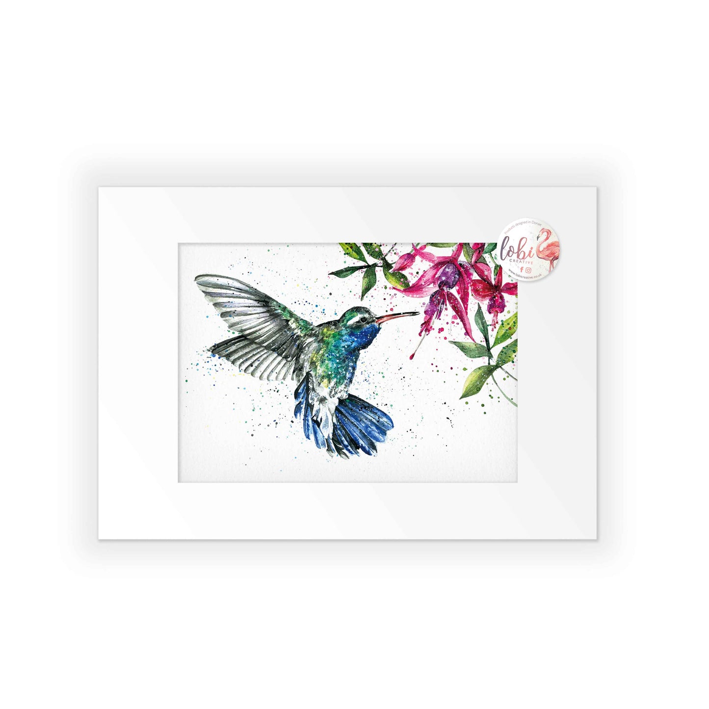 Signed Hummingbird Watercolour A4 Print & Mount