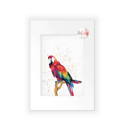 Signed Parrot Watercolour A4 Print & Mount