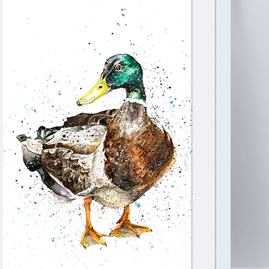 Signed Duck Watercolour A4 Print and mount