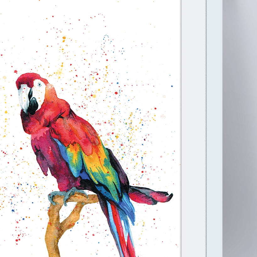 Signed Parrot Watercolour A4 Print & Mount